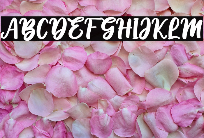 Hello Sunshine - Personal Use Example 1