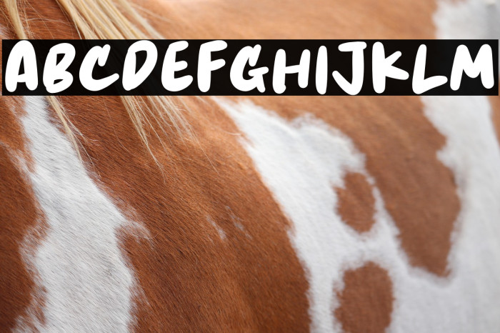 Hello Sweet Example 2