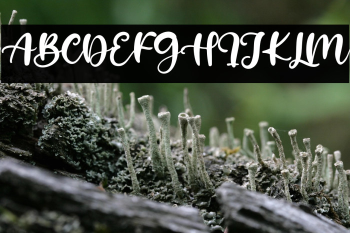 Hello Sweety Example 2