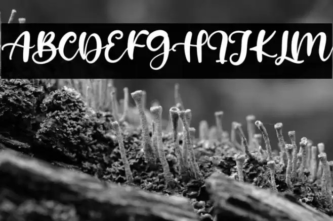 Hello Sweety Font examples