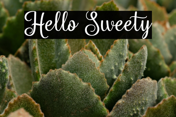 Hello Sweety Example 1