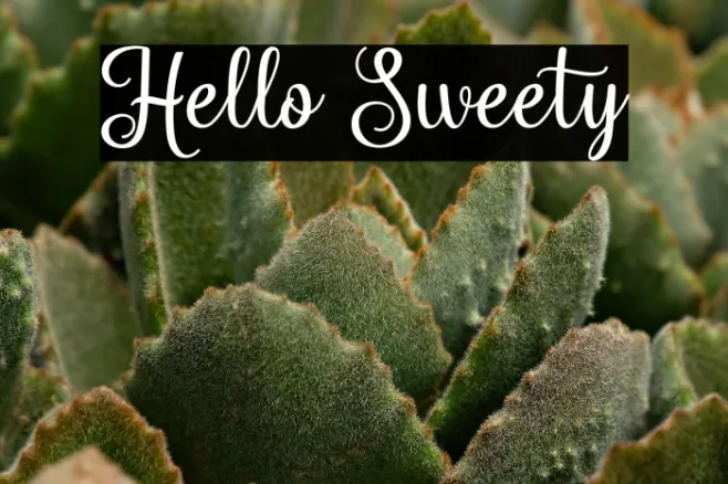 Hello Sweety Example 1