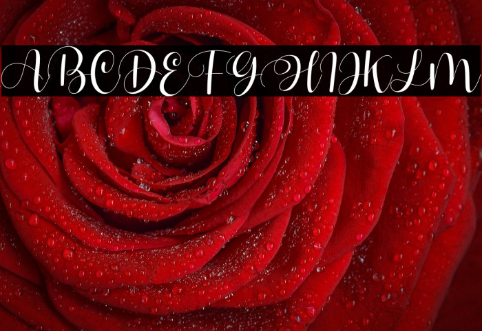 Hello Tiffany - Personal Use Example 1