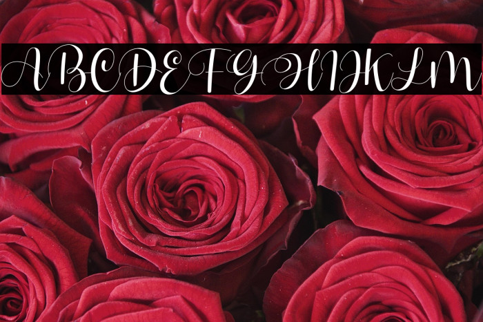 Hello Tiffany - Personal Use Example 2