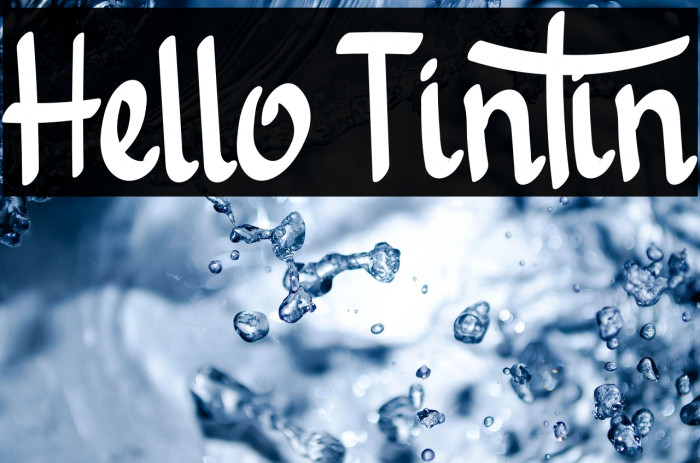 Hello Tintin Example 1