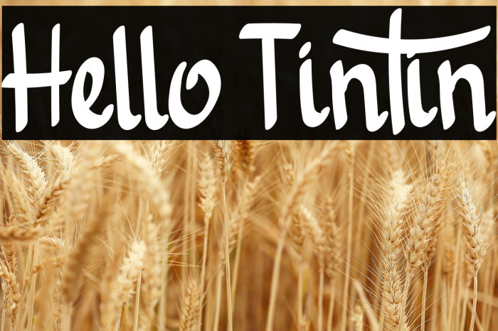 Hello Tintin Example 2