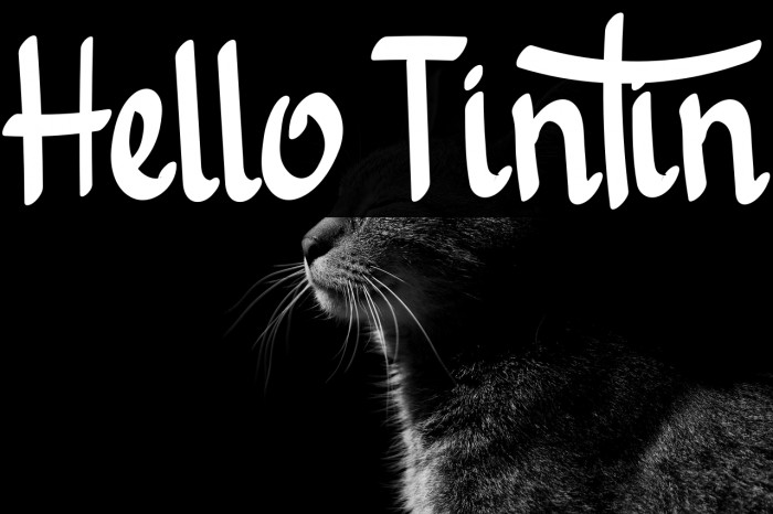 Hello Tintin Example 3