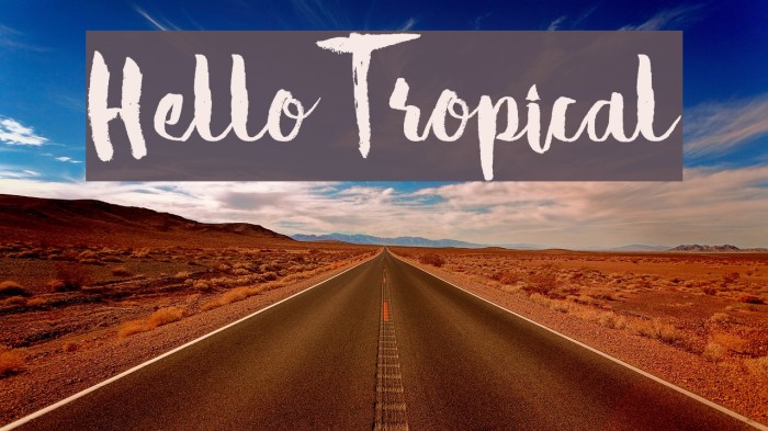 Hello Tropical Font examples