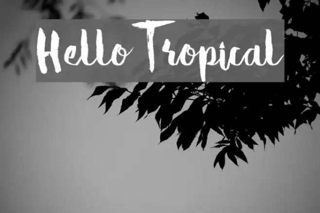 Hello Tropical Font examples