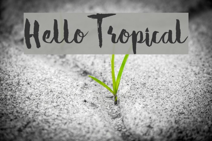 Hello Tropical Font examples