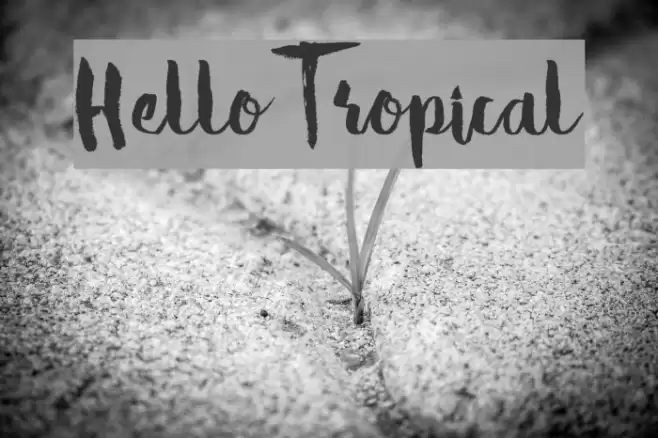 Hello Tropical Font examples