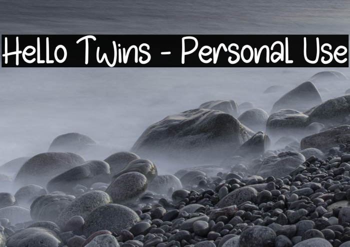 Hello Twins - Personal Use Example 1