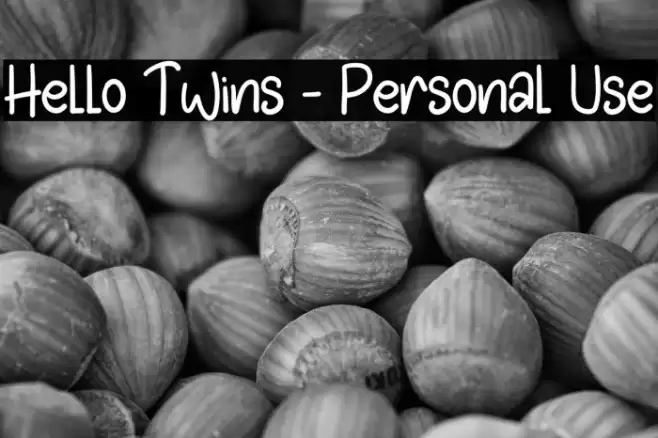 Hello Twins - Personal Use Polices examples