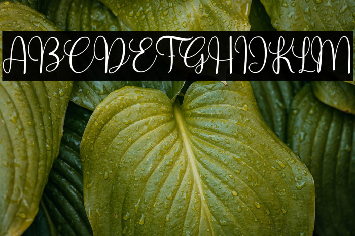 Hello Valentines Example 1