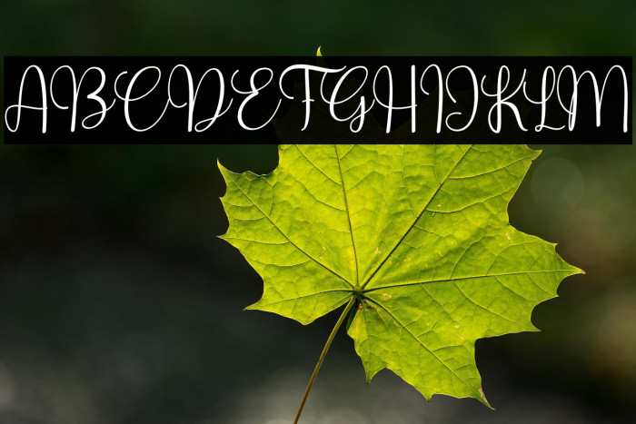 Hello Valentines Example 2