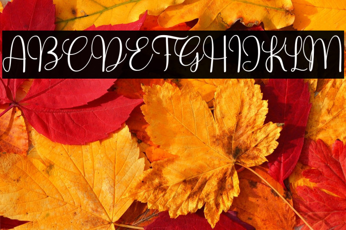 Hello Valentines Example 3