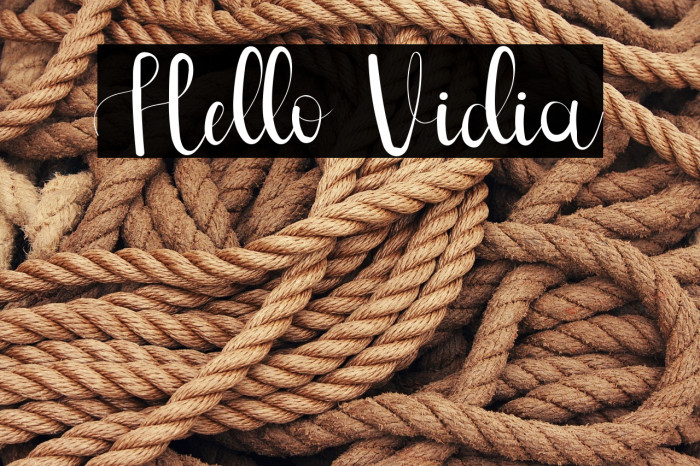 Hello Vidia Example 2