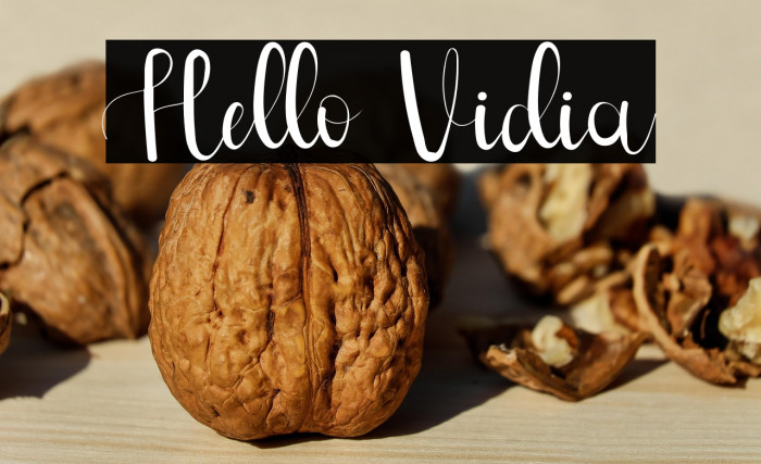 Hello Vidia Example 3