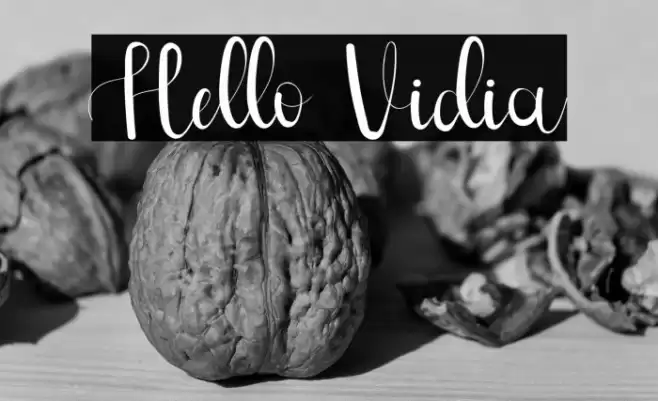 Hello Vidia Font examples