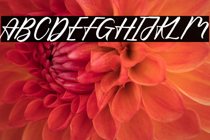 Hello Viktoria Example 3