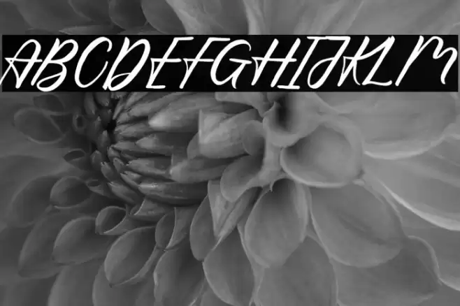 Hello Viktoria Font examples