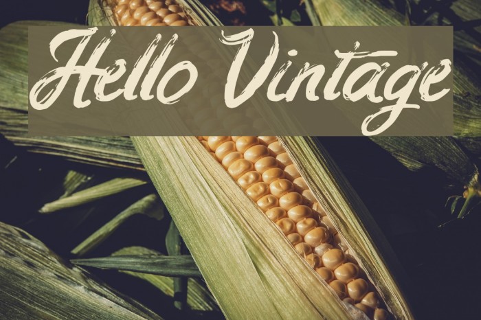 Hello Vintage Font examples
