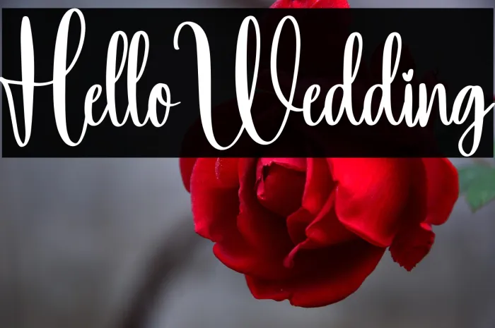Hello Wedding Example 1