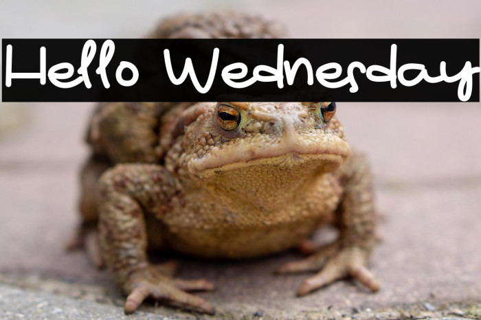Hello Wednesday Example 2