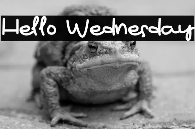 Hello Wednesday Caratteri examples