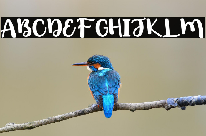 Hello World Example 2