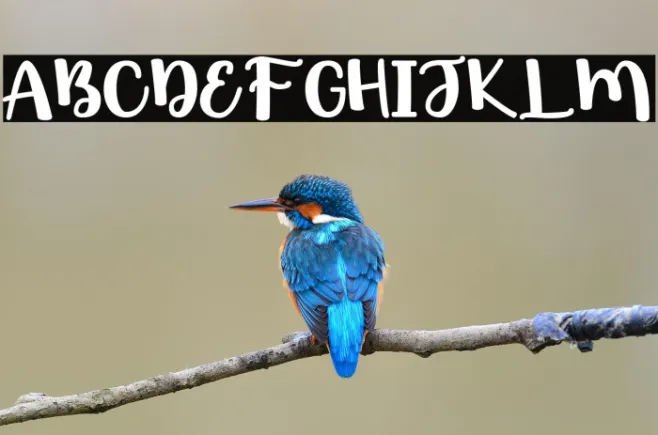 Hello World Example 2