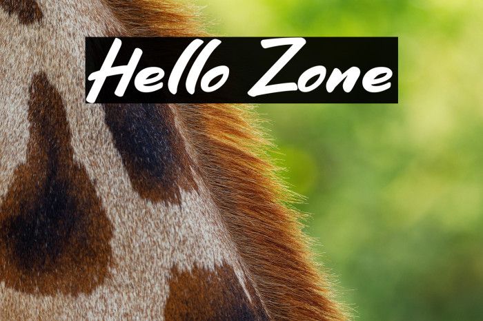 Hello Zone Font examples