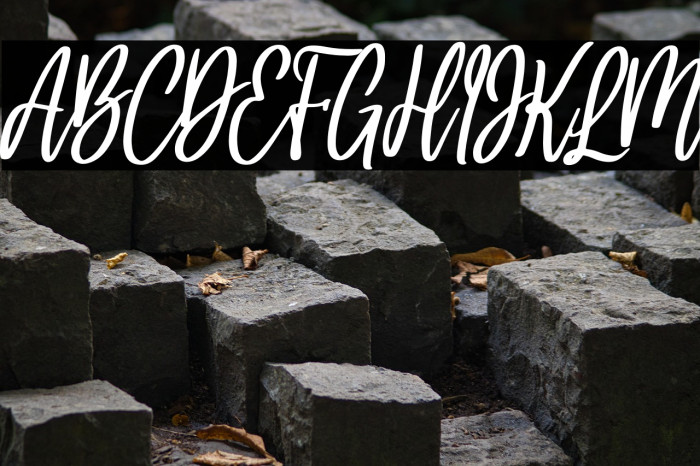 Hello bella italic Italic Example 2