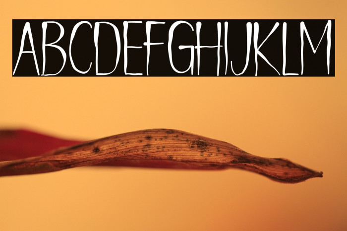 Hello gost Example 1