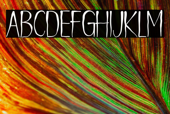 Hello gost Example 2