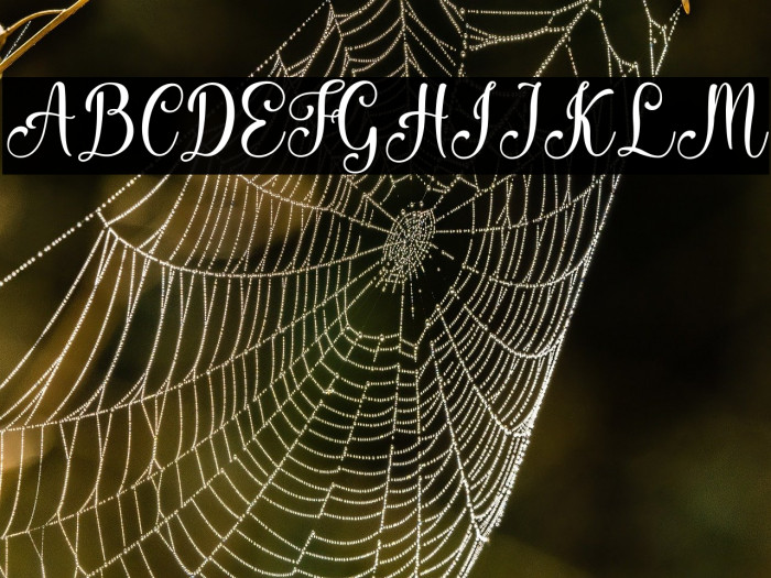 Hello megan Example 2