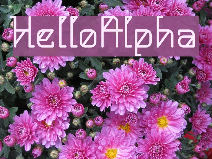 HelloAlpha Font examples