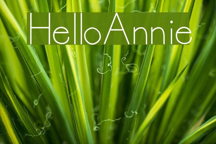 HelloAnnie Font examples