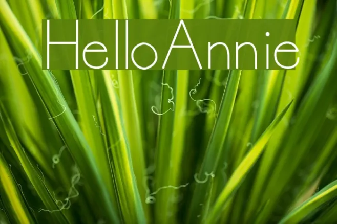 HelloAnnie Example 1