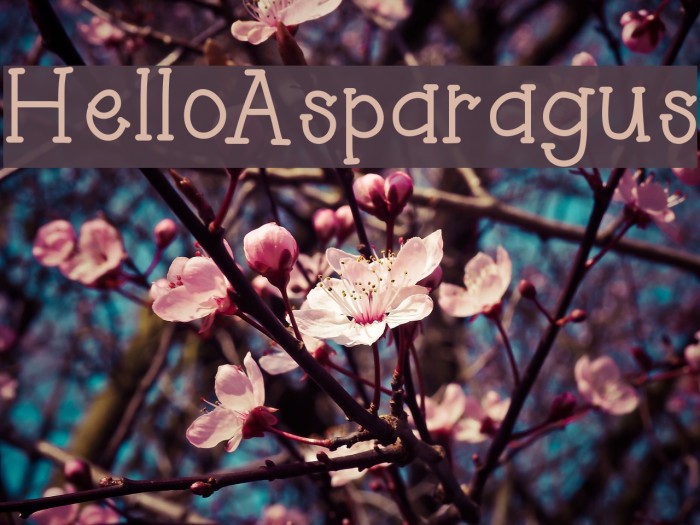 HelloAsparagus Example 1