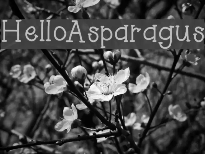 HelloAsparagus Font examples