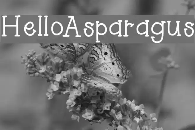 HelloAsparagus Font examples