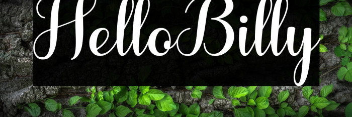 HelloBilly Example 1