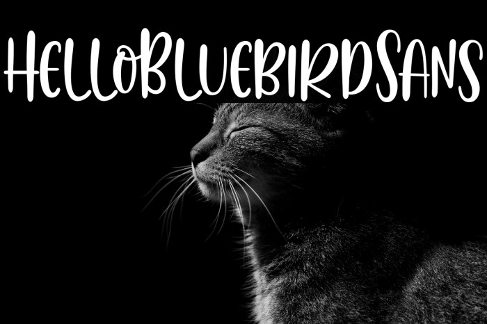 HelloBluebirdSans Example 1