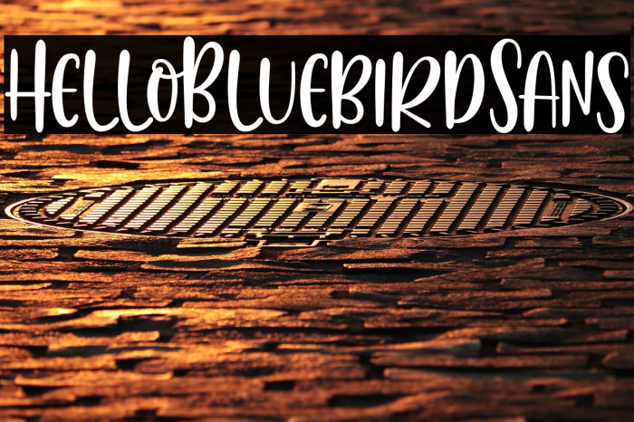 HelloBluebirdSans Example 2