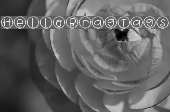 HelloBragTags Font examples