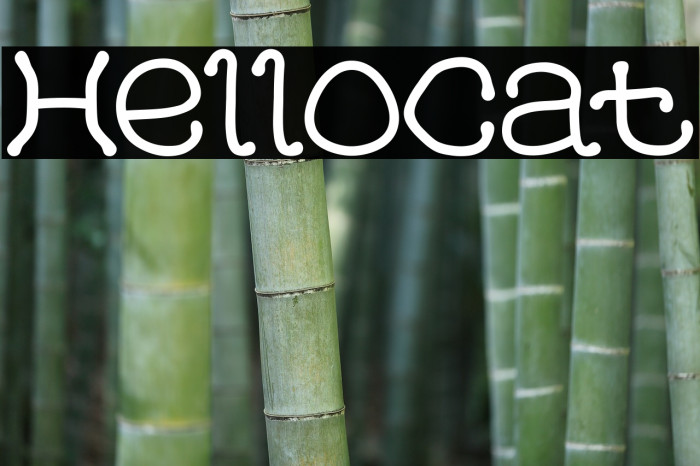 HelloCat Polices examples