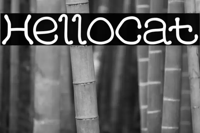 HelloCat Polices examples