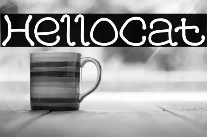 HelloCat Polices examples