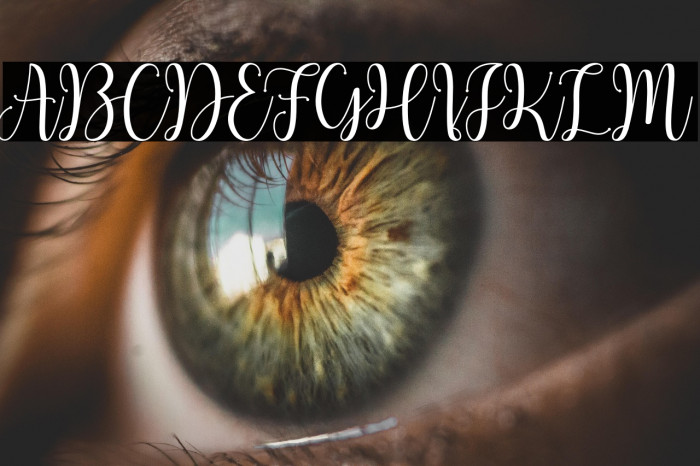 HelloCattiaDemo Example 2